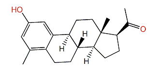 Subergorgol U